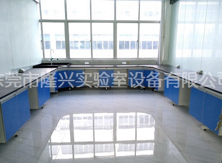 實(shí)驗(yàn)室實(shí)驗(yàn)臺
